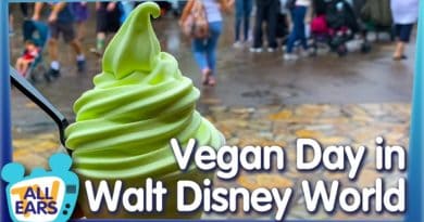 I'm Not Vegan, But I Ate Like One For the Day at Disney World