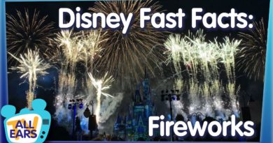 11 Fast Facts About Walt Disney World Fireworks!