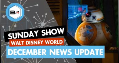 Walt Disney World News Update - December 2019