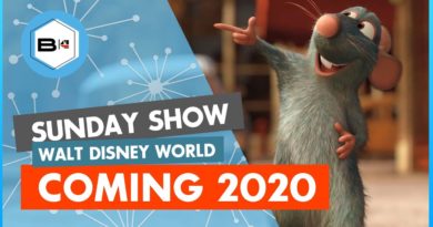 What's Coming to Walt Disney World in 2020