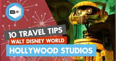 Top 10 Tips Visiting Disney's Hollywood Studios in 2020