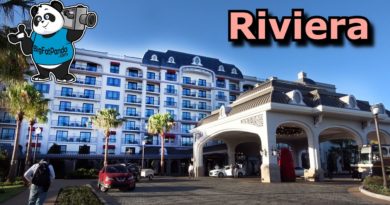 Disney's Riviera Resort Overview - NEW DVC Resort on the Skyliner