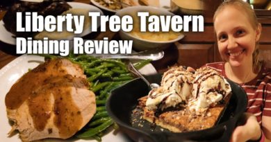 Dinner at Liberty Tree Tavern - Disney Dining Review