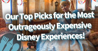 Our Top Picks for the Most Outrageously Expensive Disney Experiences!