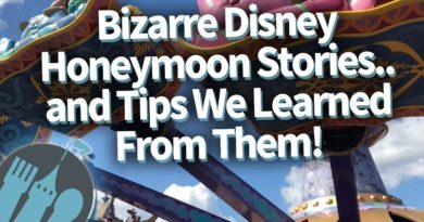 Bizarre Disney Honeymoon Stories...and the Tips We Learned From Them!