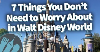 7 Things You Don't Need to Worry About in Walt Disney World