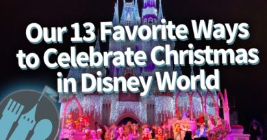 Our 13 Favorite Ways Celebrate Christmas in Disney World