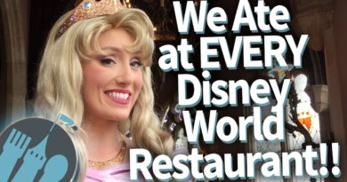 We’ve Eaten At EVERY Disney World Restaurant...and This Is What We Learned
