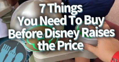 7 Things You Need To Buy Before Disney Raises the Price