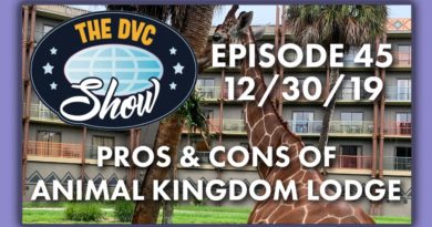 Pros & Cons of Animal Kingdom Lodge - The DVC Show