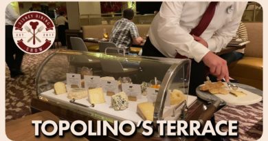 NEW Topolino's Terrace Dinner - Disney Dining Show