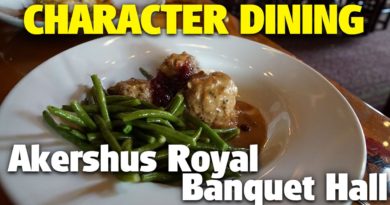 Princess Dining - Akershus Royal Banquet Hall - Epcot