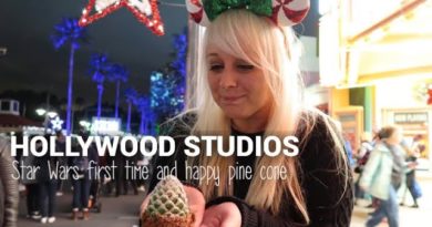 Star Wars Land for the first time and eating a pine cone at Hollywood Studios!