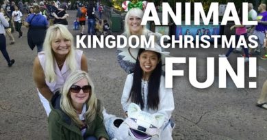 Disney’s Animal Kingdom Christmas fun!