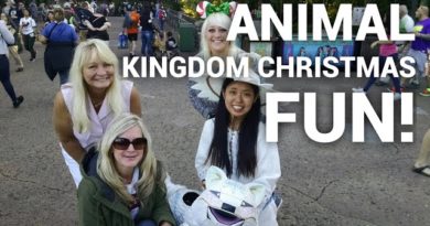 Disney’s Animal Kingdom Christmas fun!