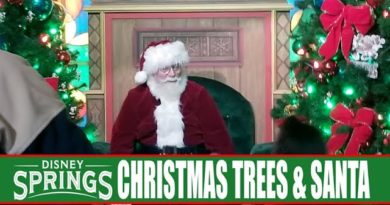 Disney Springs Christmas Tree Trail 2019 Full Walkthrough Tour - Santa Claus