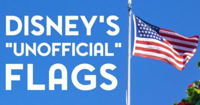 Disney's Unofficial Flags on Main Street USA