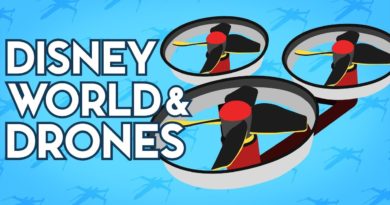 Disney World and Drones