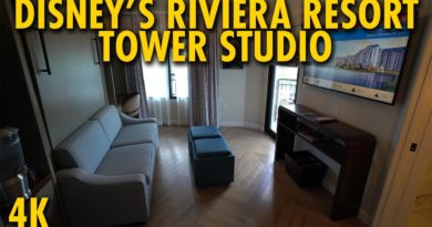 Disney's Riviera Resort Tower Studio Overview
