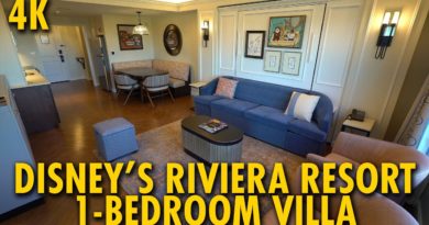 Disney's Riviera Resort 1-Bedroom Villa Overview - Walt Disney World