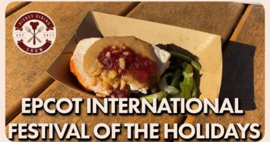 Epcot International Festival of the Holidays - Disney Dining Show