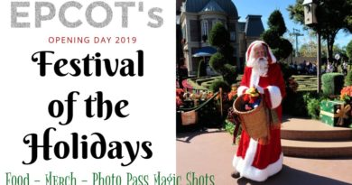 Epcot Festival of the Holidays OPENING DAY Food