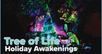Holiday Tree of Life Awakenings - Disney's Animal Kingdom