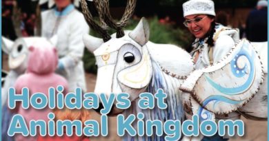 Christmas Celebrations in Disney’s Animal Kingdom