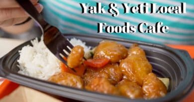 DINING REVIEW: Yak & Yeti Local Foods Cafe at Disney's Animal Kingdom