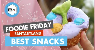 Beyond the Kingdoms - Best Snacks in Fantasyland