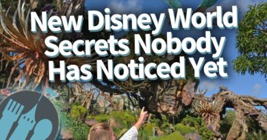 Disney Food Blog - Disney World Secrets Nobody's Noticed Yet