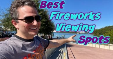 Best spots to see the Magic Kingdom Fireworks