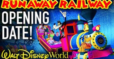 Mickey Views - Mickey's Runaway Railway Opening Date and More News