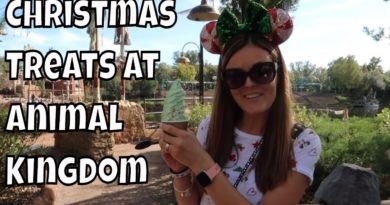 Christmas Treats at Disney's Animal Kingdom!