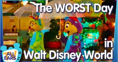 The Worst Day at Disney World!