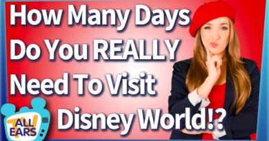 How Many Days Do You REALLY Need to Visit Disney World?