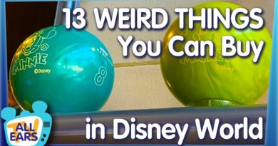13 Weird Things You Can Buy in Disney World!