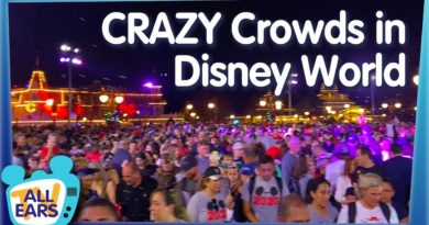 What's Disney World REALLY Like When it's Crazy Crowded?