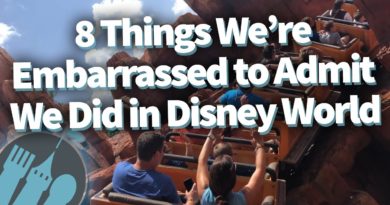 8 Things We're Embarrassed to Admit We Did in Disney World