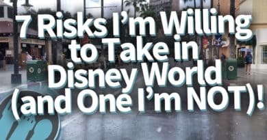 7 Risks I'm Willing To Take in Disney World (And One I'm NOT)