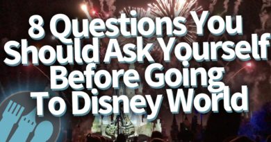 8 Questions You Should Ask Yourself Before Going To Disney World