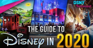 THE GUIDE to Disney Parks & Movies in 2020 - Disney News