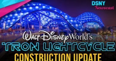 Tron Lightcycle Rollercoaster Entrance Construction