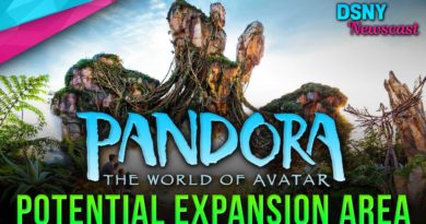 Potential Expansion Area for PANDORA - THE WORLD OF AVATAR at Animal Kingdom - Disney News