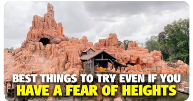 BEST Things to Try Even With a Fear of Heights at Walt Disney World - Best & Worst