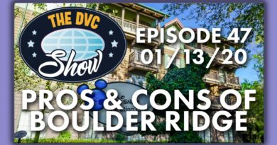Pros & Cons of Boulder Ridge- The DVC Show