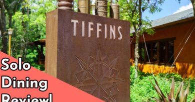 I Ate At Tiffins in Animal Kingdom Solo - A Review