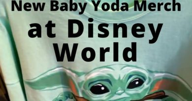 new Baby Yoda/the Child Merchandise - Space Mountain 45th Anniversary