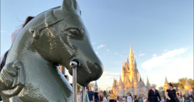 A Relaxing Day At Disney’s Magic Kingdom.