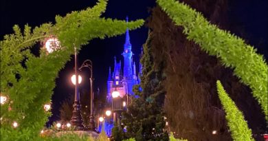 A Night At Disney’s Magic Kingdom